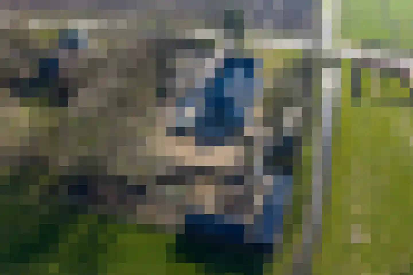 Hoofdweg 91 Nieuw Beerta thumbnail 100