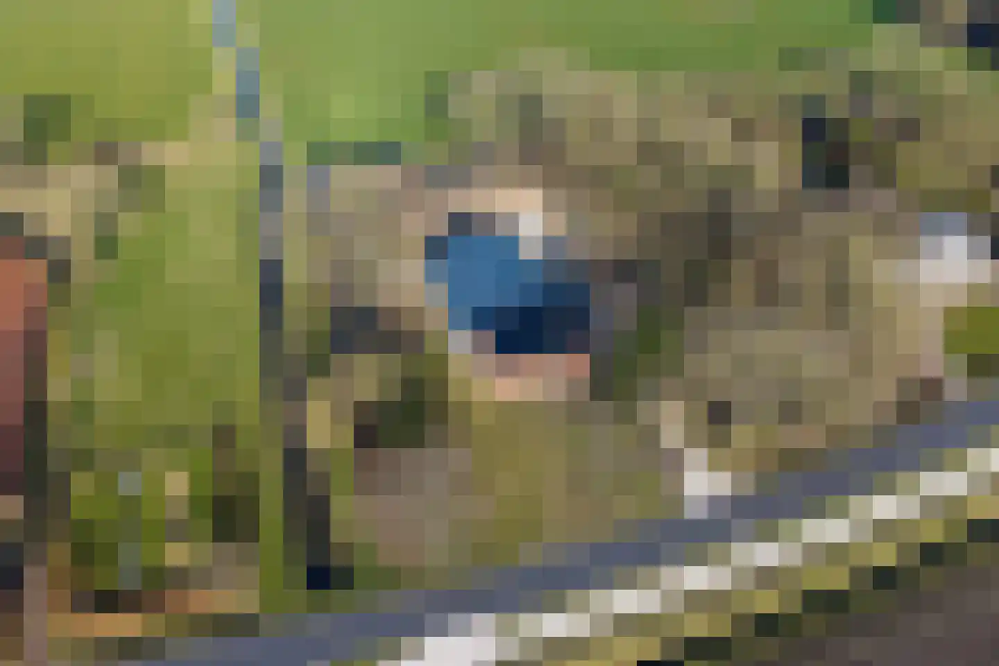 Hoofdweg 91 Nieuw Beerta thumbnail 107
