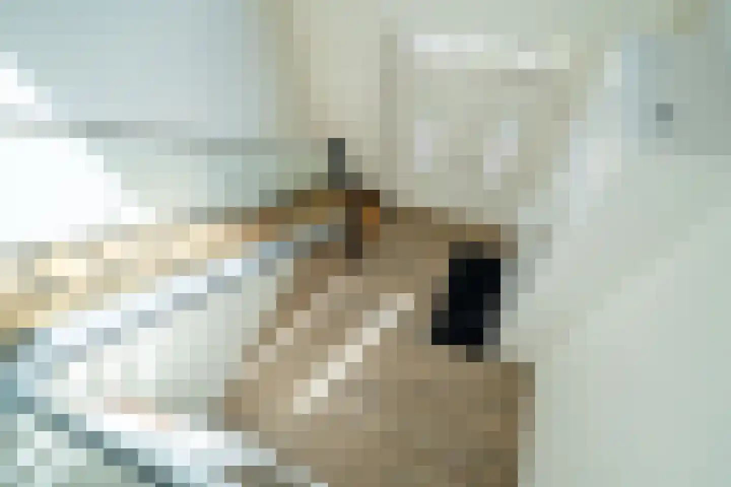 Hoofdweg 91 Nieuw Beerta thumbnail 15