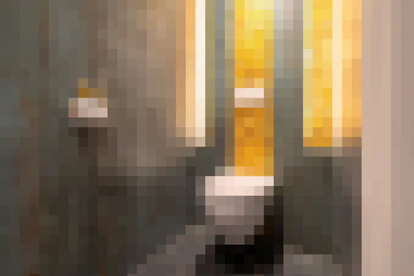 Hoofdweg 91 Nieuw Beerta thumbnail 52