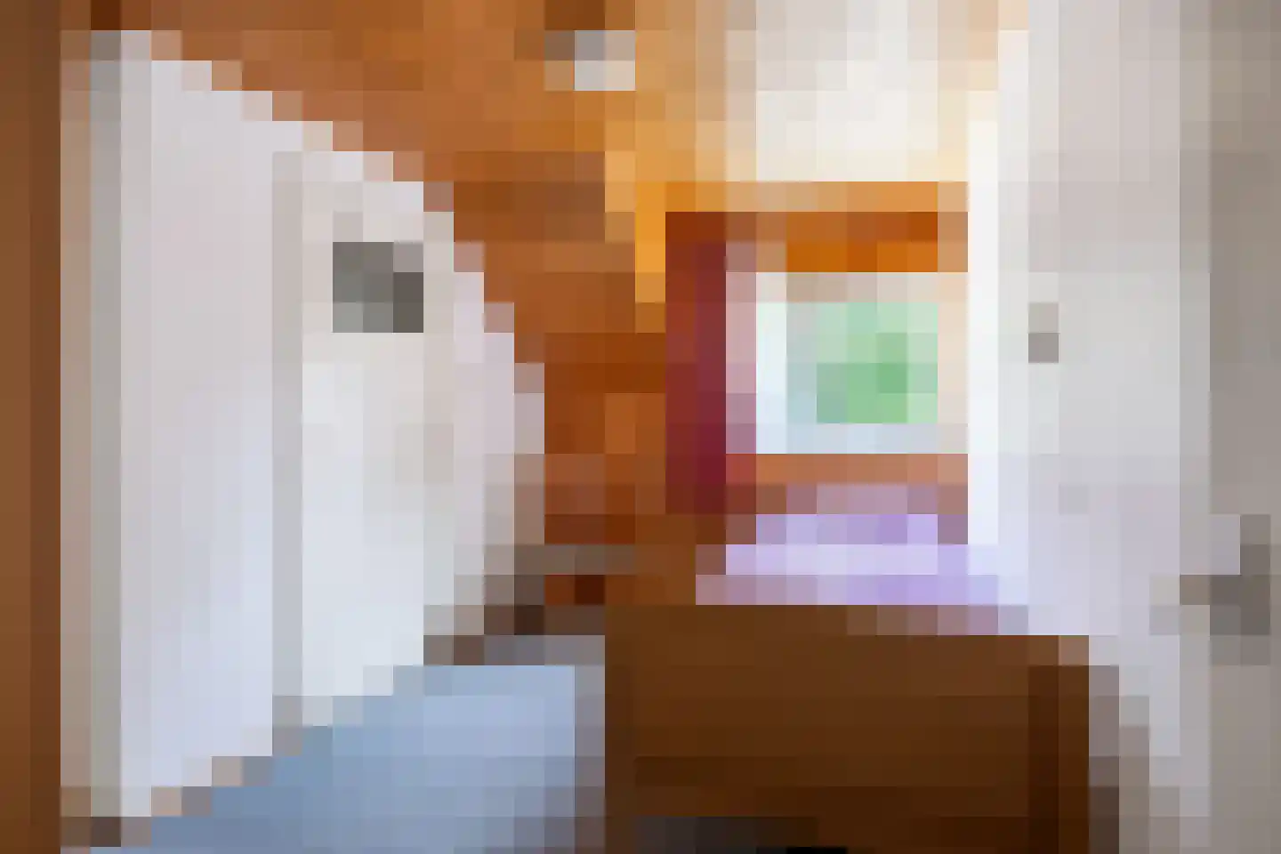 Hoofdweg 92 Schildwolde thumbnail 15