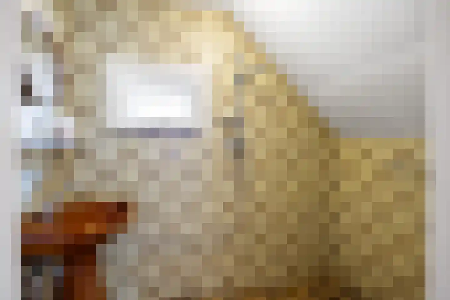 Hoofdweg 92 Schildwolde thumbnail 17