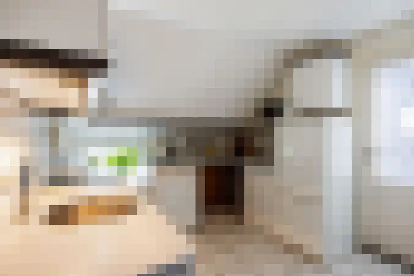 Hoofdweg 92 Schildwolde thumbnail 19
