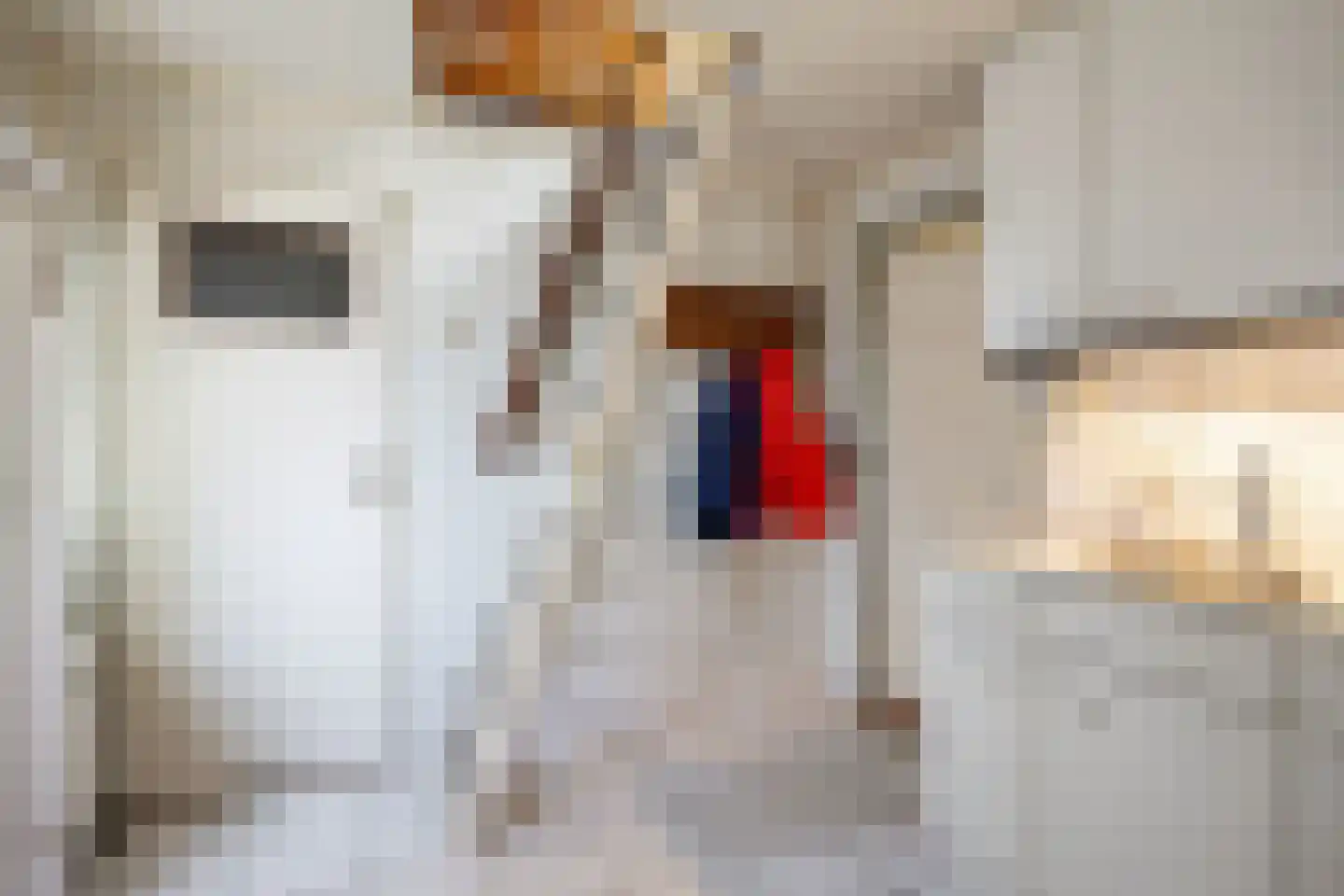 Hoofdweg 92 Schildwolde thumbnail 21