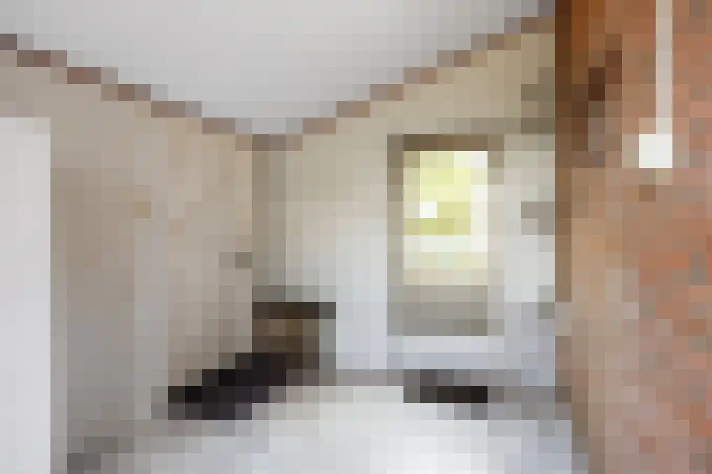 Hoofdweg 92 Schildwolde thumbnail 23