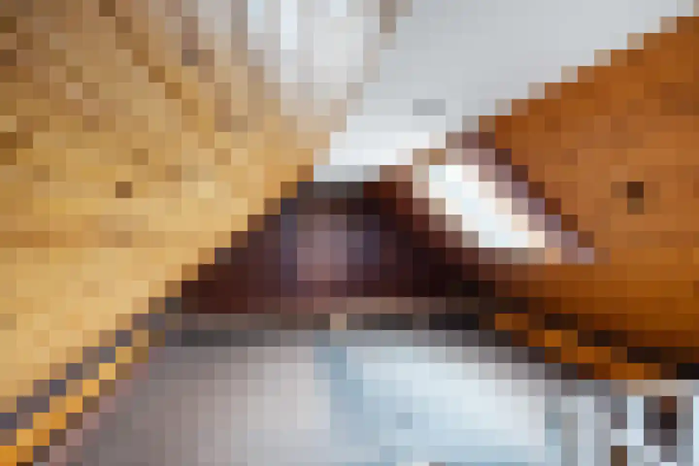 Hoofdweg 92 Schildwolde thumbnail 25