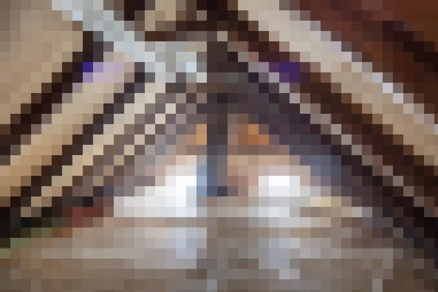 Hoofdweg 92 Schildwolde thumbnail 27