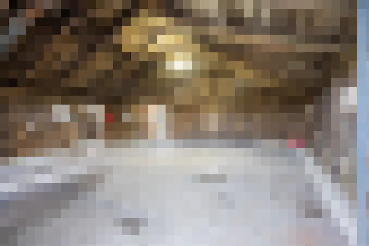 Hoofdweg 92 Schildwolde thumbnail 32
