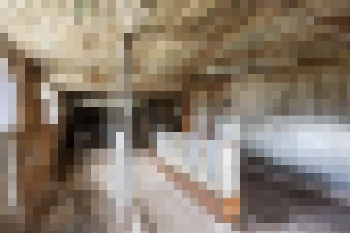 Hoofdweg 92 Schildwolde thumbnail 36