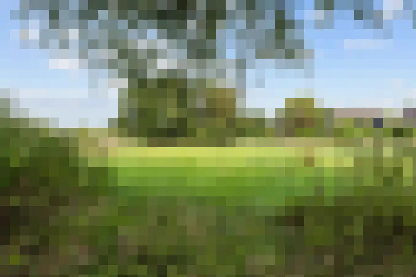 Hoofdweg 92 Schildwolde thumbnail 43