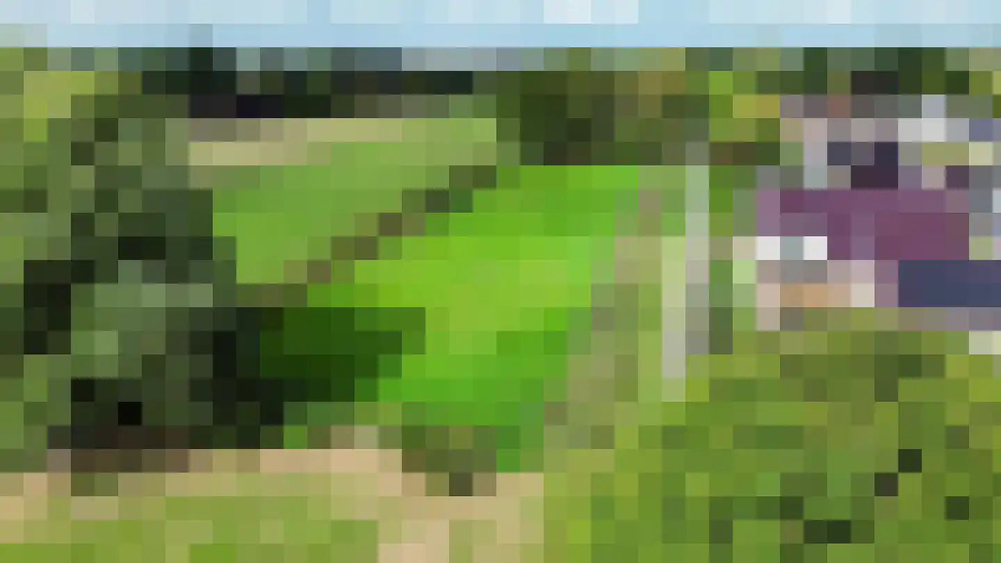 Hoofdweg 92 Schildwolde thumbnail 44