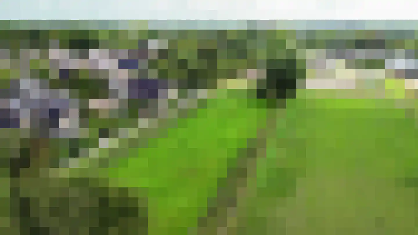 Hoofdweg 92 Schildwolde thumbnail 45