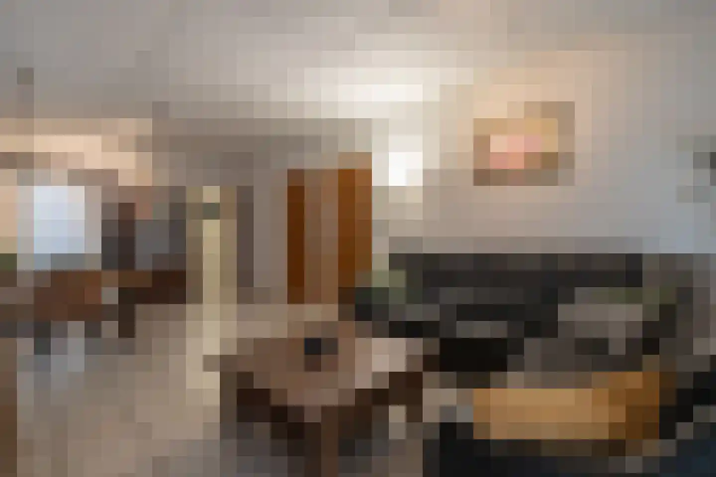 Hoofdweg 92 Westerlee thumbnail 15