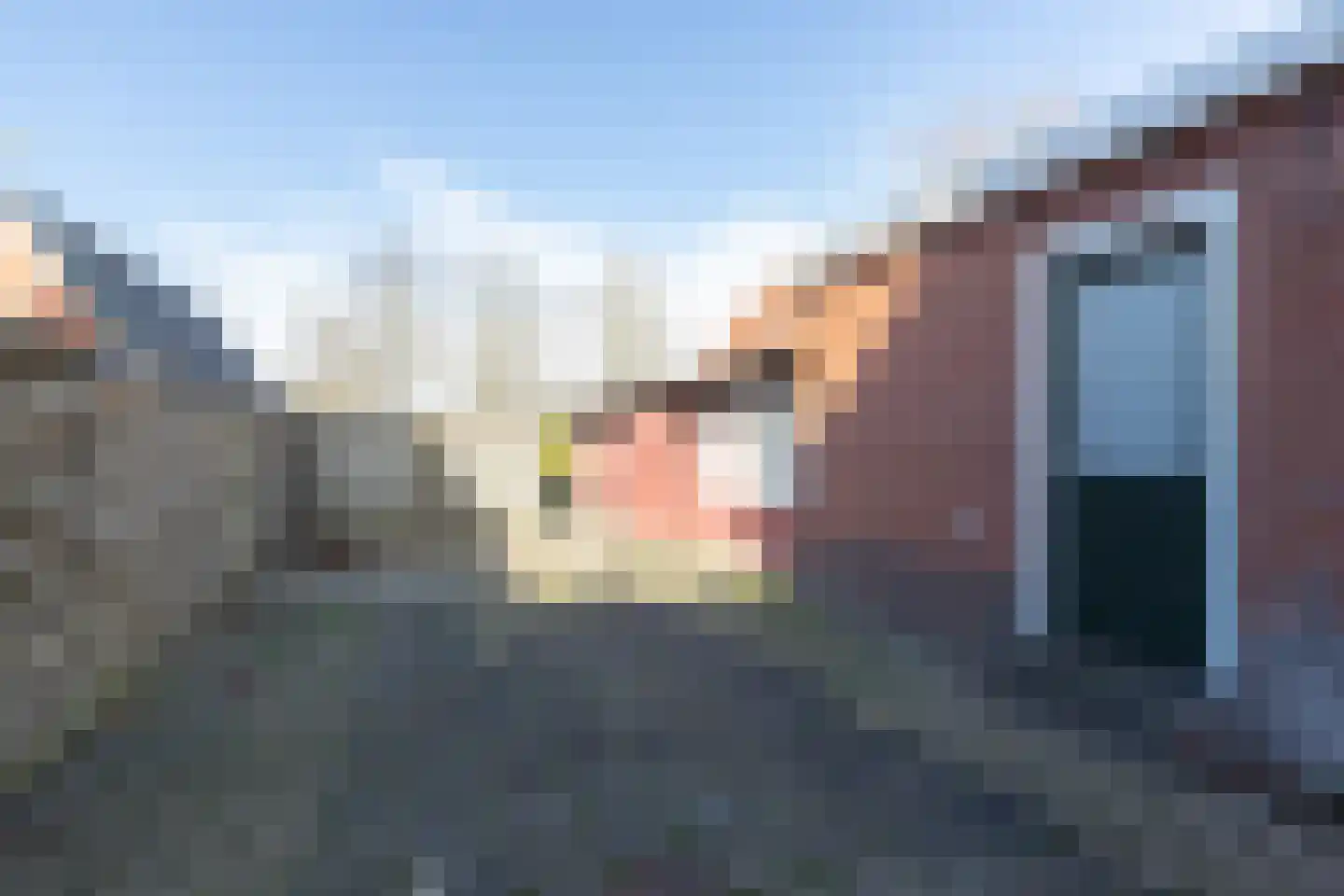 Hoofdweg 92 Westerlee thumbnail 47