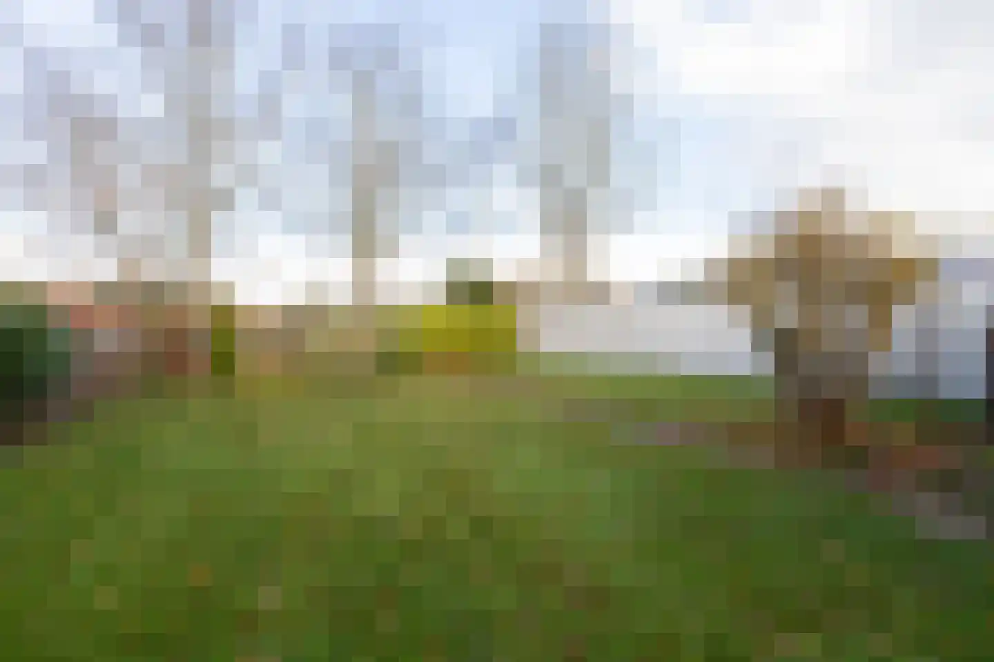 Hoofdweg 92 Westerlee thumbnail 52
