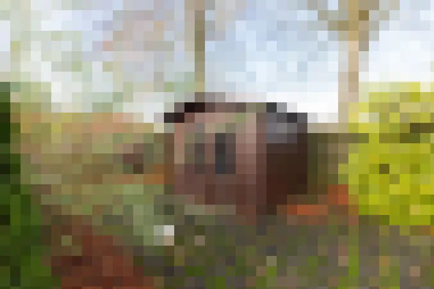 Hoofdweg 92 Westerlee thumbnail 54