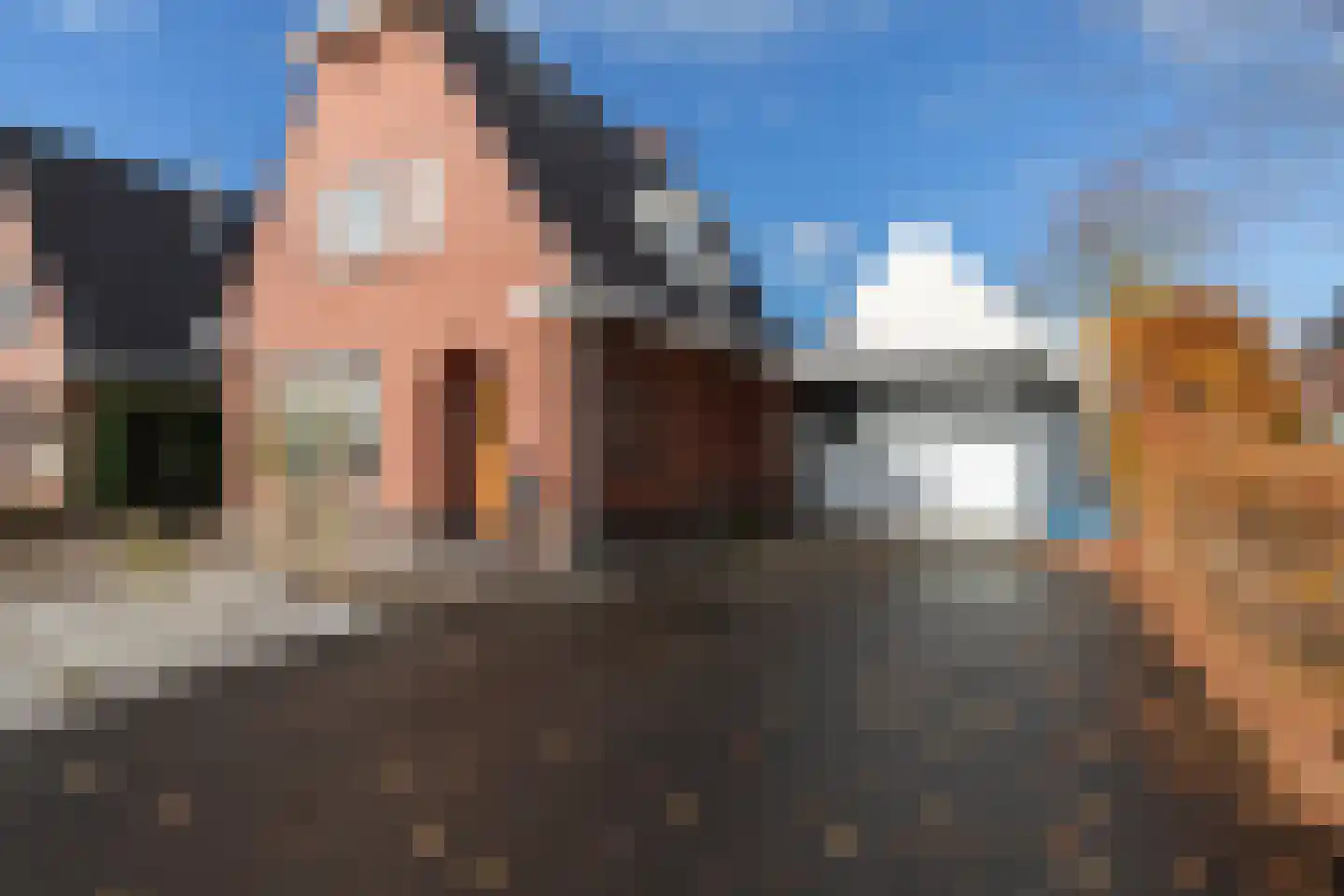 Hoofdweg 92 Westerlee thumbnail 7