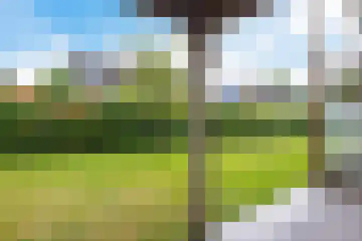 Hoofdweg 96 a Eelde thumbnail 12