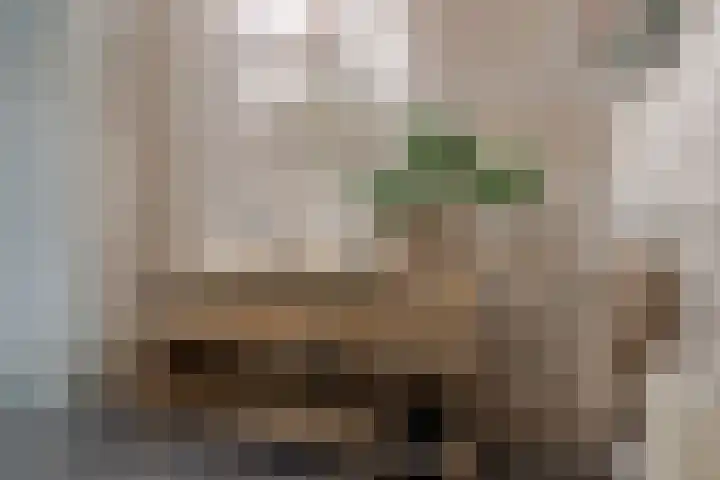 Hoofdweg 96 a Eelde thumbnail 26