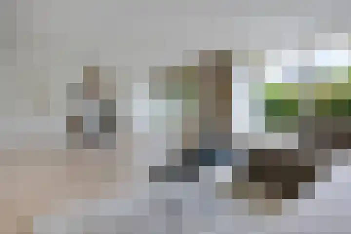 Hoofdweg 96 a Eelde thumbnail 33