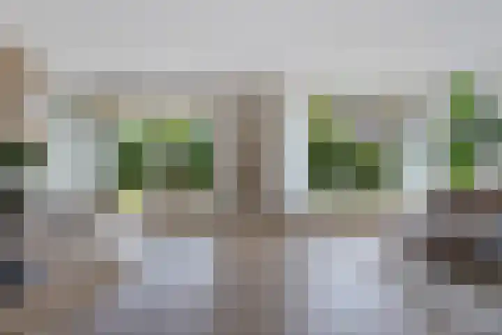 Hoofdweg 96 a Eelde thumbnail 40