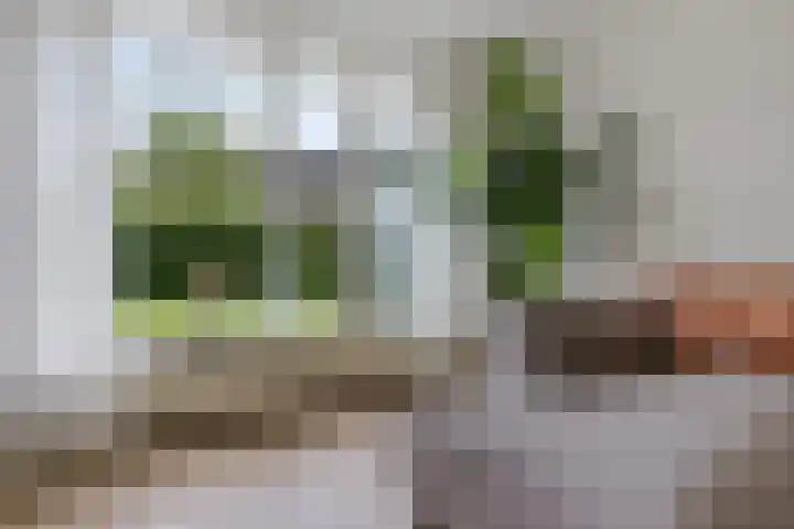 Hoofdweg 96 a Eelde thumbnail 42