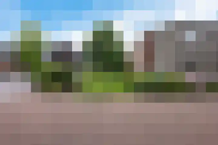 Hoofdweg 96 a Eelde thumbnail 5