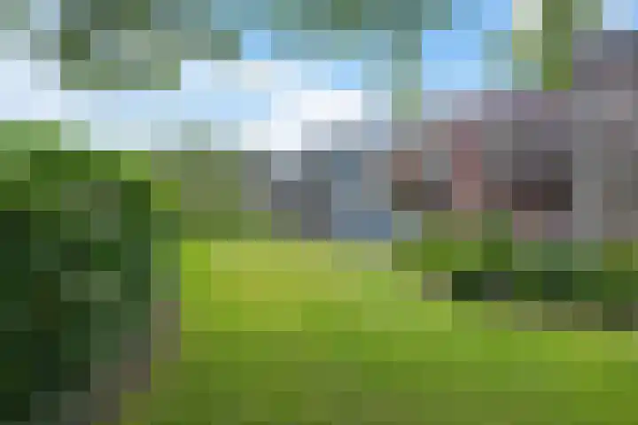 Hoofdweg 96 a Eelde thumbnail 8