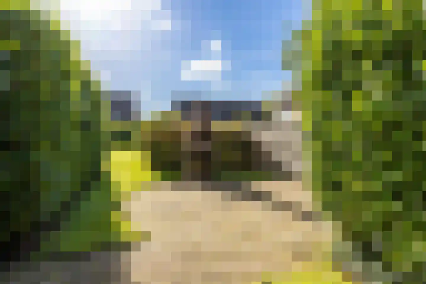 Hoofdweg 96 e Eelde thumbnail 34