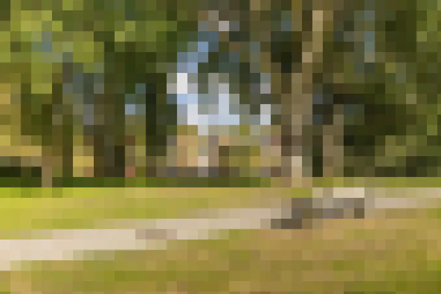Hoofdweg 96 e Eelde thumbnail 38