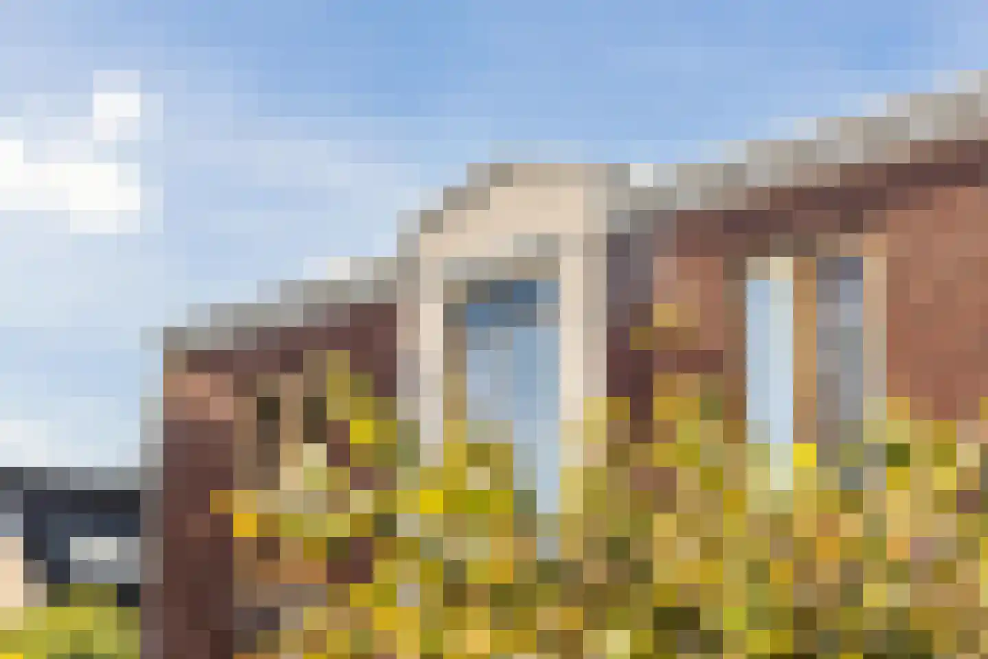 Hoofdweg 96 e Eelde thumbnail 4