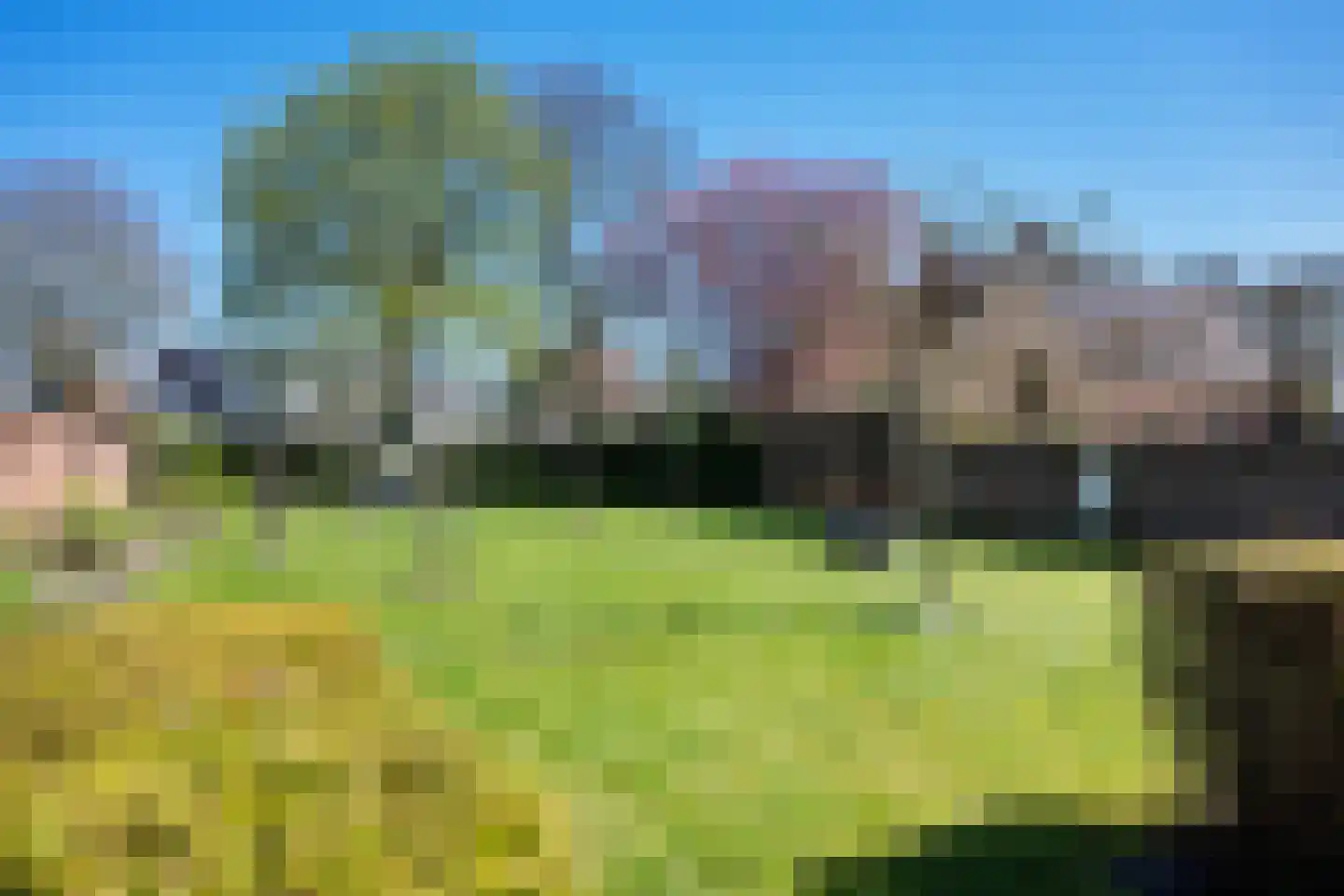 Hoofdweg 97 a Eelde thumbnail 38