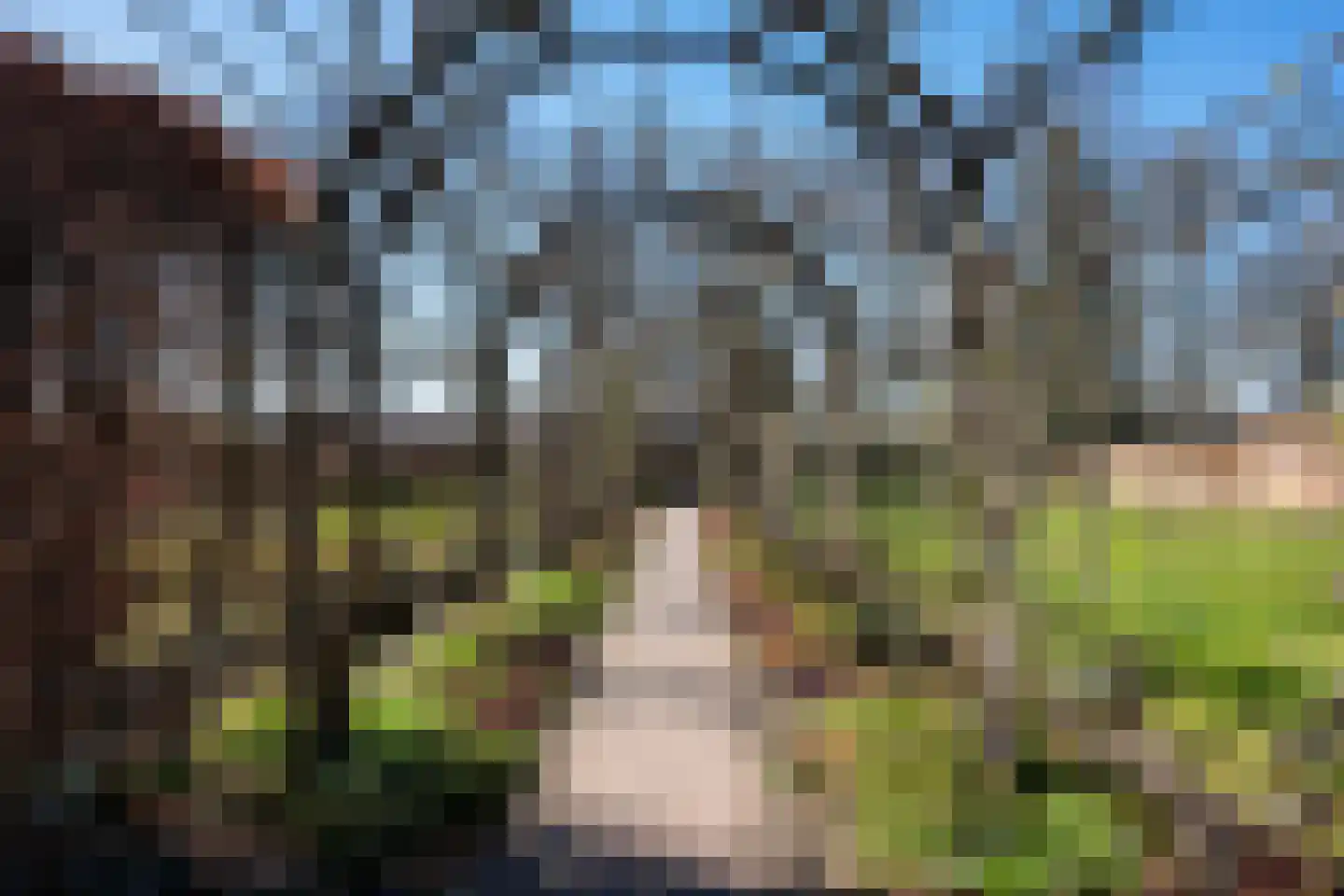 Hoofdweg 97 a Eelde thumbnail 39