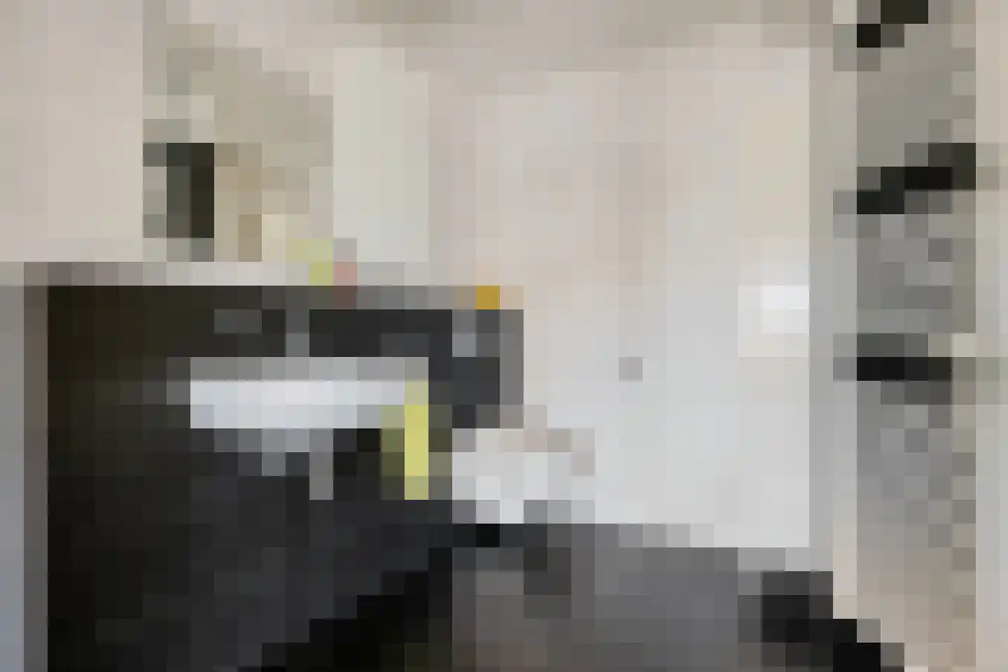 Hoofdweg 97 a Eelde thumbnail 5