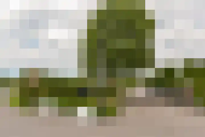 Hoofdweg 98 R 136 Mijdrecht thumbnail 36