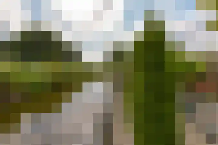 Hoofdweg 98 R 136 Mijdrecht thumbnail 6