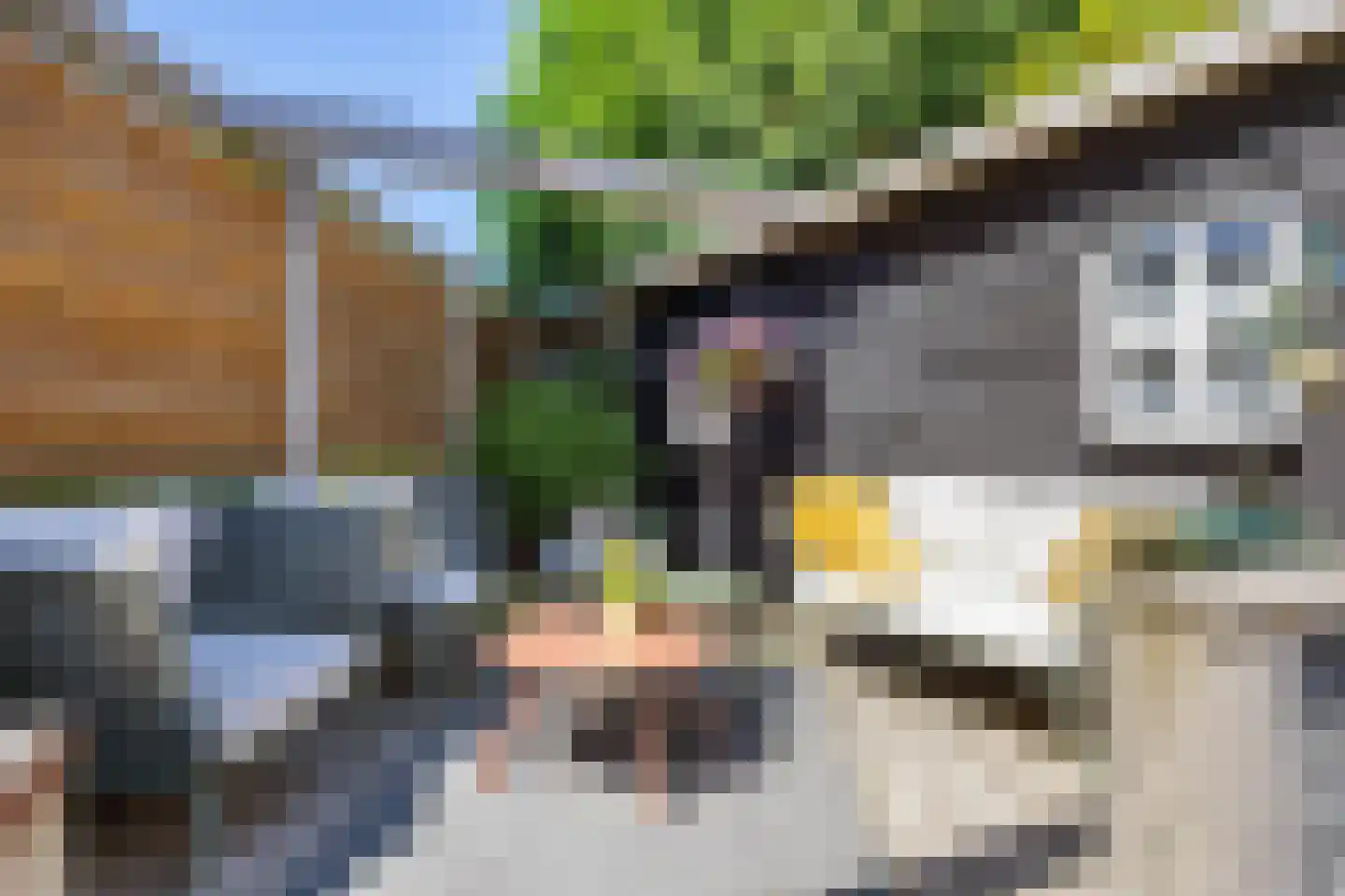 Hoofdweg-Boven 52 Haulerwijk thumbnail 61