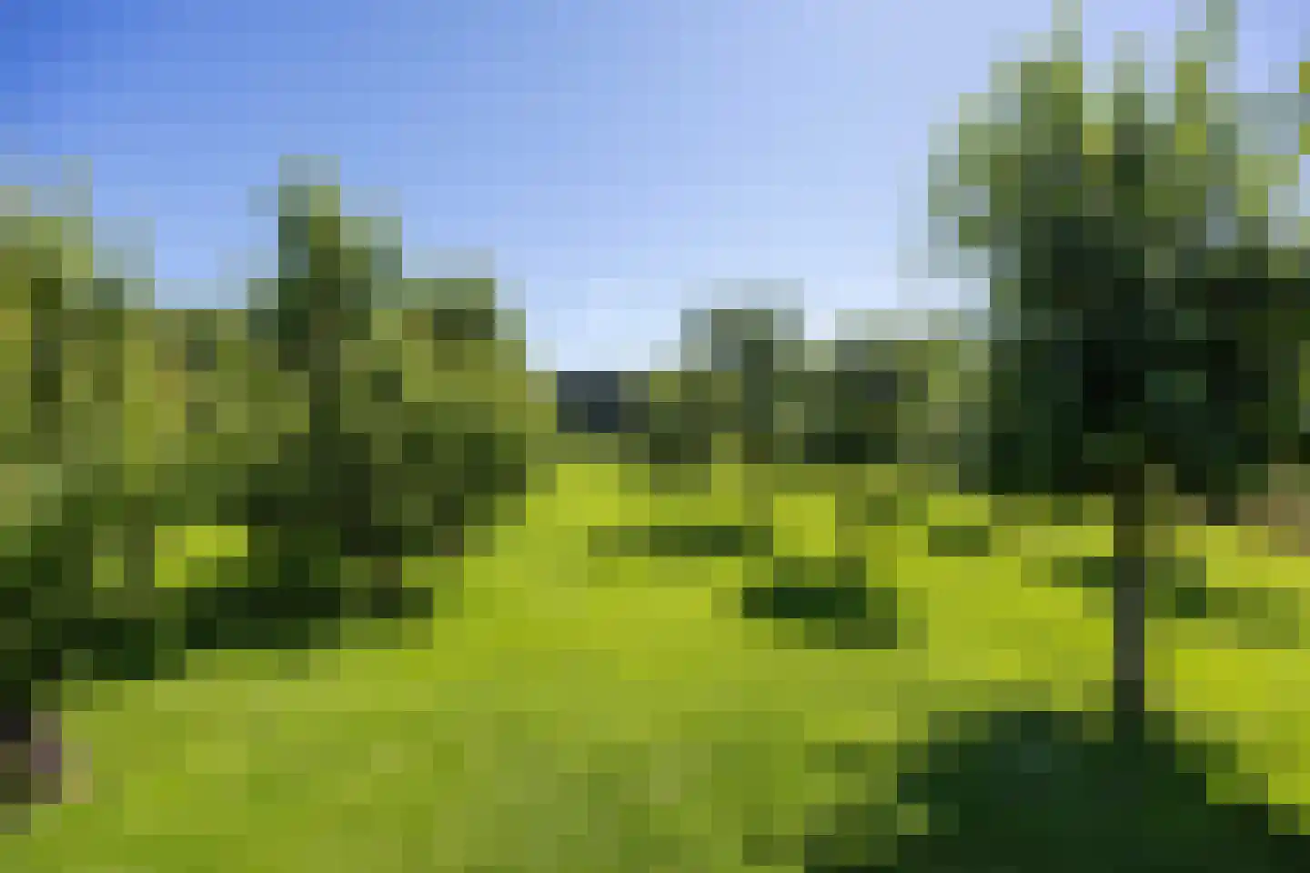 Hoofdweg-Boven 52 Haulerwijk thumbnail 69