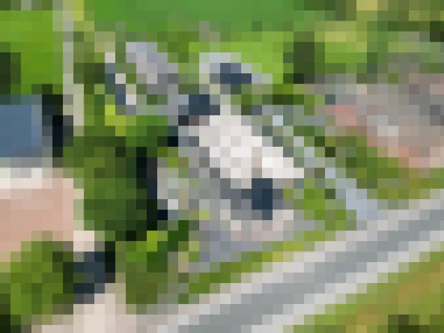 Hoofdweg-Boven 52 Haulerwijk thumbnail 73