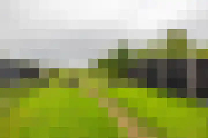 Hoofdweg-Boven 60 Haulerwijk thumbnail 25