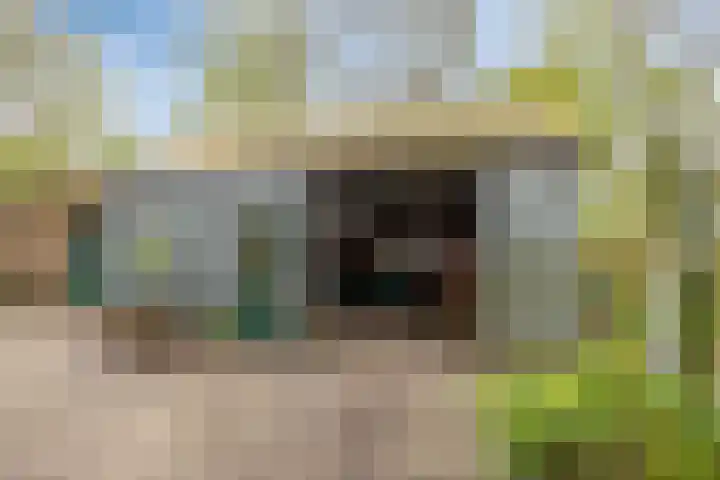 Hoofdweg-Boven 73 Haulerwijk thumbnail 32