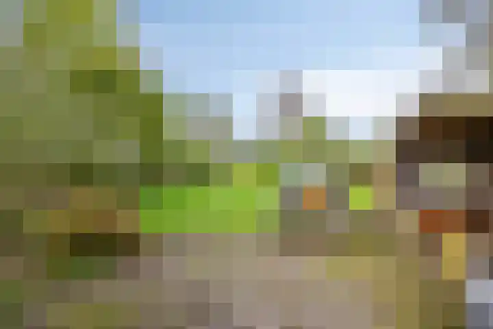 Hoofdweg-Boven 73 Haulerwijk thumbnail 35