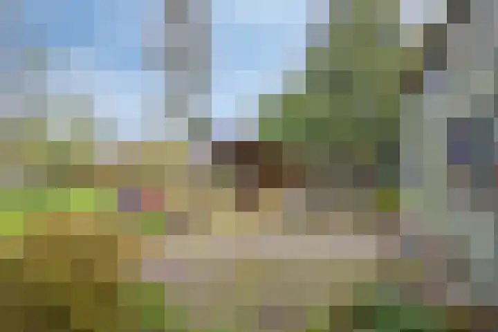 Hoofdweg-Boven 73 Haulerwijk thumbnail 36