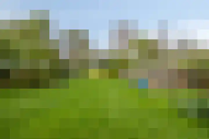 Hoofdweg-Boven 73 Haulerwijk thumbnail 37