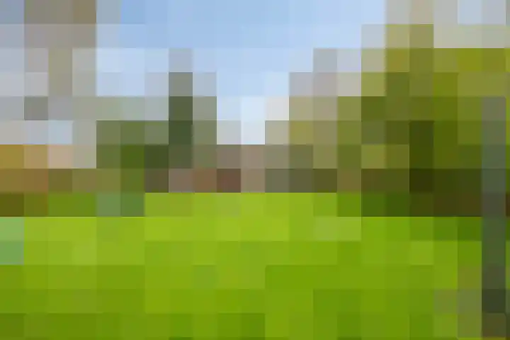 Hoofdweg-Boven 73 Haulerwijk thumbnail 38