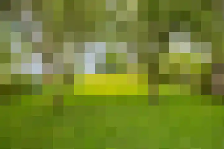 Hoofdweg-Boven 73 Haulerwijk thumbnail 39
