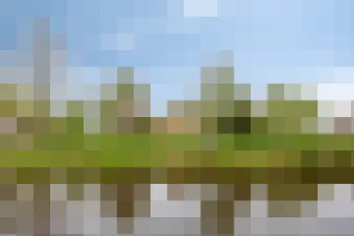 Hoofdweg-Boven 73 Haulerwijk thumbnail 48