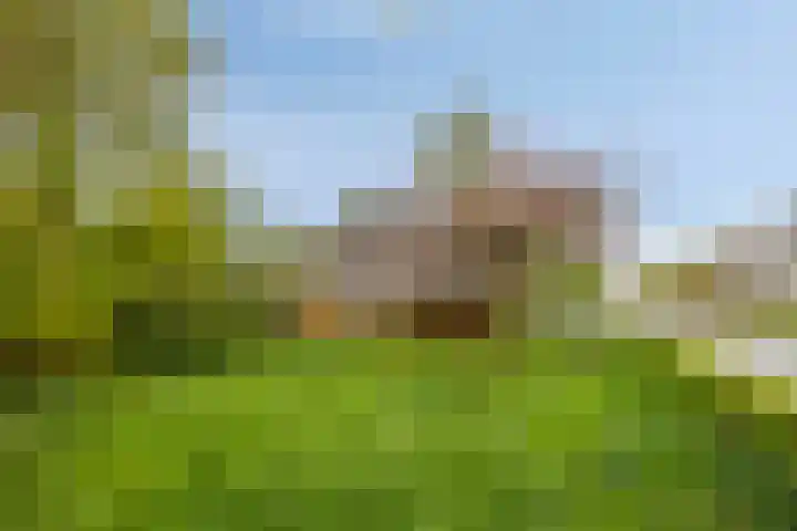 Hoofdweg-Boven 73 Haulerwijk thumbnail 5