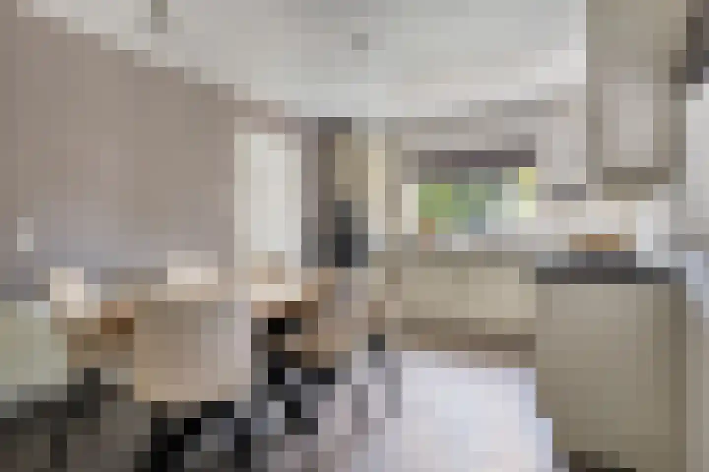 Hoofdweg Noord 1 Zuiddorpe thumbnail 10