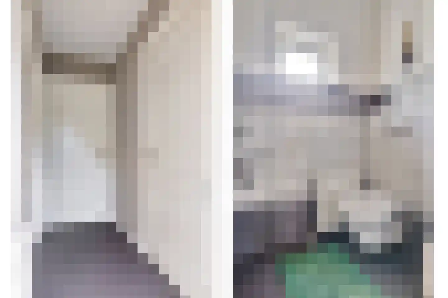 Hoofdweg Noord 1 Zuiddorpe thumbnail 15